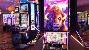 Studio Live Dealer over bola dengan host profesional dan tampilan multi-kamera dari meja permainan